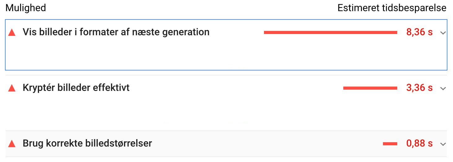 Google PageSpeed Insights "vis billeder i formater af næste generation", "kryptér billeder effektivt" og "brug korrekte billedstørrelser".