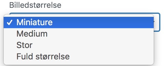 Billedstørrelsevælger WordPress